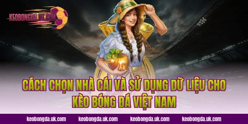 Cách chọn nhà cái và sử dụng dữ liệu cho Kèo bóng đá Việt Nam