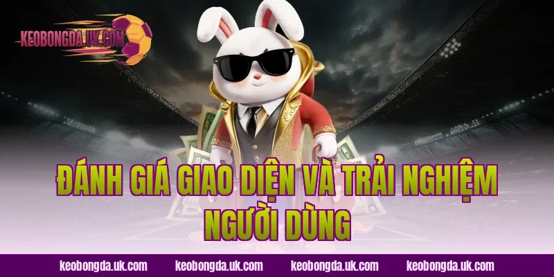 Đánh Giá Giao Diện Và Trải Nghiệm Người Dùng