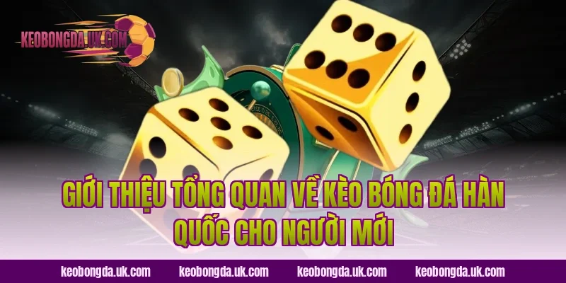 Giới thiệu tổng quan về Kèo bóng đá Hàn Quốc cho người mới