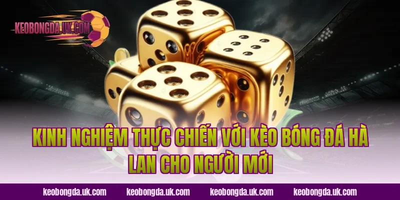 Kinh nghiệm thực chiến với Kèo bóng đá Hà Lan cho người mới