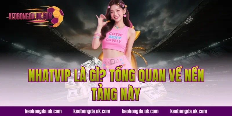 NhatVIP Là Gì? Tổng Quan Về Nền Tảng Này